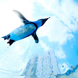 サンシャイン水族館